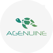AGENUINE--All for Genuine auto parts. 
The graphic logo AGE is short for AGENUINE.
A--Inspired by the pyramid--Everything starts from A,step by step till TOP A.
G--Genuine auto parts.
 E--Empty your cup,so that it maybe filled by something fresh.
